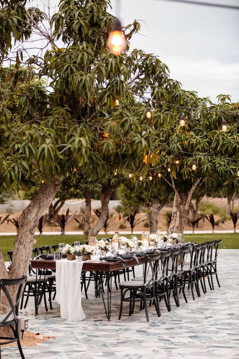 Modern Farm Wedding, Acre Baja, Cabo San Lucas Wedding, Cabos Wedding, Los Cabos Wedding, Preparing For Marriage, Cabo Wedding, San Lucas Mexico, Destination Wedding Mexico