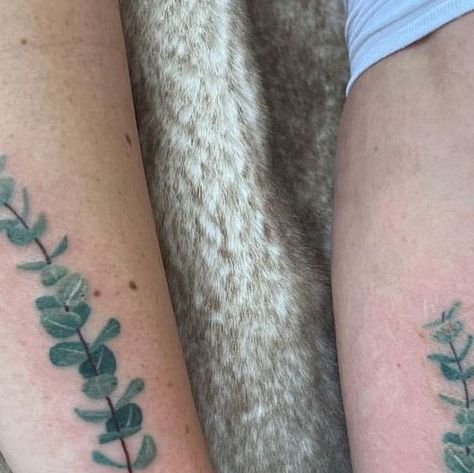 Black Velvet Ink on Instagram: "Matching eucalyptus branches by @briantrubia ! #tattoo #matchingtattoo #colortattoo #smalltattoo #eucalyptus #eucalyptustattoo #cttattooartist #cttattooahop" Eucalyptus Tattoo, Eucalyptus Branches, Matching Tattoo, Tattoo Inspo, Color Tattoo, Arm Tattoo, Small Tattoos, Black Velvet, Velvet