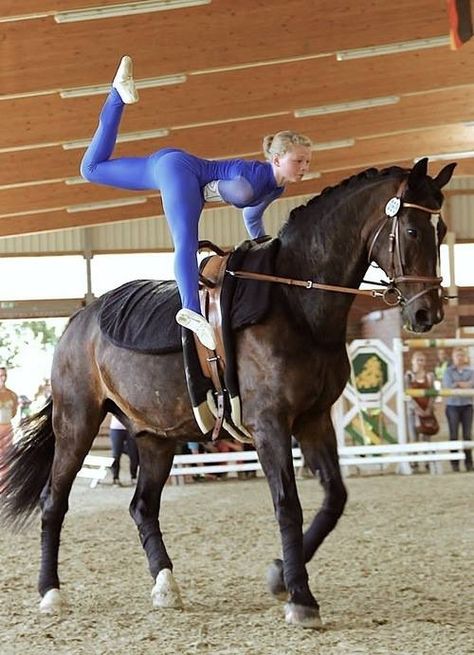 Vaulting Vaulting Horses, Vaulting Equestrian, Horse Vaulting, Woman Riding Horse, Horse Jokes, Trick Riding, Equestrian Riding, Barrel Horse, Equestrian Sports