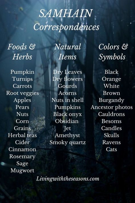 Witches New Year, Wicca Holidays, Samhain Traditions, Samhain Ritual, Wiccan Sabbats, Pagan Festivals, Samhain Halloween, Pagan Rituals, Eclectic Witch