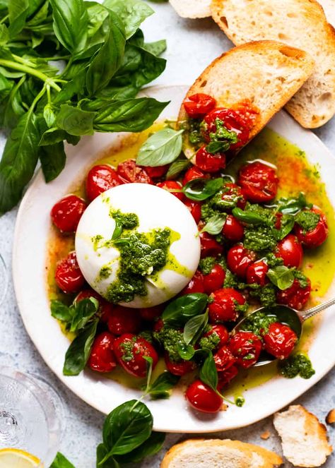 Burst tomato burrata salad ready to be eaten Buratta Salad Aesthetic, Burrata And Tomato Appetizer, Burrata Tomato Salad, Buratta Bruschetta, Buratta Appetizer Cold, Tomato Buratta, Cherry Tomato Burrata, Tomato Burrata Salad, Burst Tomato