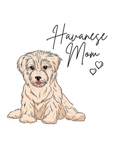 Havanese Tattoo, Golden Havanese, Havanese Black And White, Types Of Puppies, Havanese Dogs Drawings, Dog Doodles, Brown Havanese, Art And Drawing, Havanese Dog