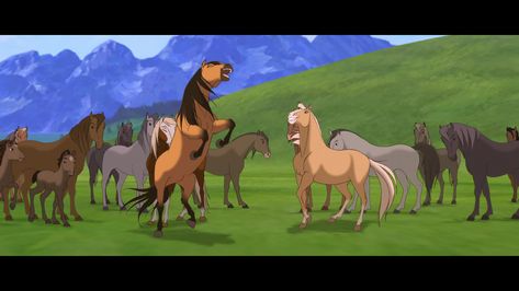 Spirit Film, Spirit Horse Movie, Disney Horses, Spirit Stallion Of The Cimarron, Spirit And Rain, Spirit The Horse, Horse Animation, Stallion Horse, Spirit Stallion