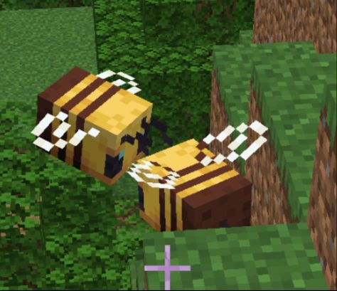 This Could Be Us Cute, Could Be Us Memes, Minecraft Couple, Minecraft Love, You Dont Like Me, Minecraft Animals, Minecraft Bee, Minecraft Wolf, Love Minecraft