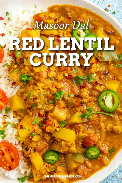 Red Lentil Indian Recipes, Spicy Lentil Curry, Orange Lentil Curry, Mexican Curry Recipe, Indian Red Lentil Recipes, Vegetarian Curries Indian, Spicy Lentils Recipe, Authentic Vegetarian Indian Recipes, Spicy Curry Recipes Vegetarian