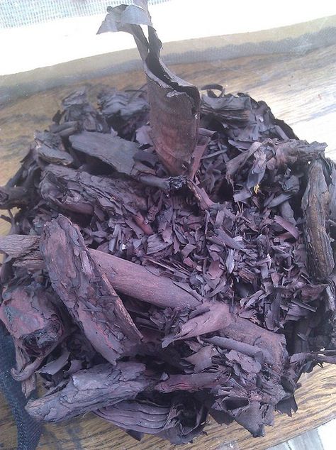 Dried Alkantet Root after dyeing Adult Summer Camp, Alkanet Root, Natural Dyeing Techniques, Ayurvedic Hair Care, Fabric Dyeing Techniques, Diy Dye, Natural Dye Fabric, Types Of Fibres, Eco Dyeing