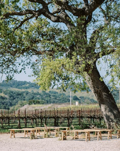 Wintery wedding outside with bench seating. Unique wedding venues in California. Sunstone Winery in Santa Ynez Wedding Venues In California, Sunstone Winery, Santa Ynez Wedding, Wedding Outside, Santa Ynez, Bench Seating, Grand Rapids Michigan, Unique Wedding Venues, Michigan Wedding Photographer