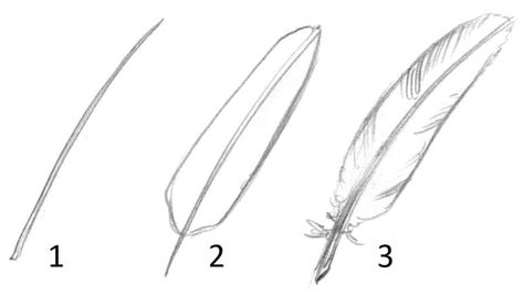 Cool Easy Drawings, Feather Drawing, Animation Tools, Things To Draw, Cute Easy Drawings, Drawing Lessons, Drawing Skills, Drawing Tips, Art Drawings Simple