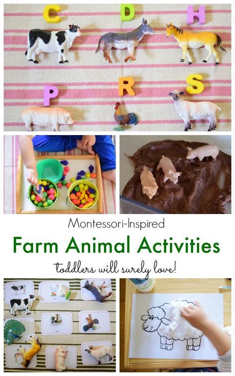 Montessori-Inspired Farm Animal Activities for Toddlers from The Pinay Homeschooler Farm Animal Activities For Toddlers, Animal Activities For Toddlers, Farm Animal Activities, Months Activities, Farm Unit Study, Farm Lessons, Farm Animals Activities, Farm Unit, Farm Preschool