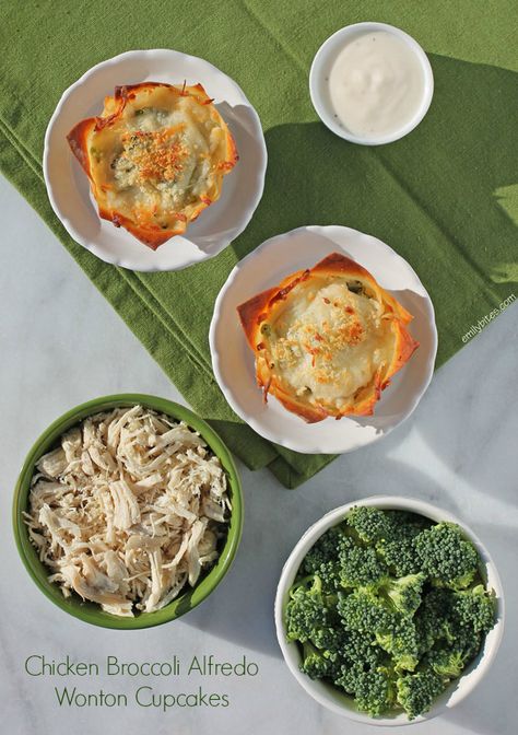 Looking for a little more creamy, dreamy Alfredo sauce in your life? These Chicken Broccoli Alfredo Wonton Cups offer everything you love about the traditional pasta dish, but for just 130 calories or 4 Weight Watchers points each! www.emilybites.com #healthy Healthy Alfredo Sauce, Wonton Wrapper Recipes, Emily Bites, Chicken Broccoli Alfredo, Wonton Cups, Chicken With Italian Seasoning, Bariatric Friendly Recipes, Broccoli Alfredo, Wonton Recipes