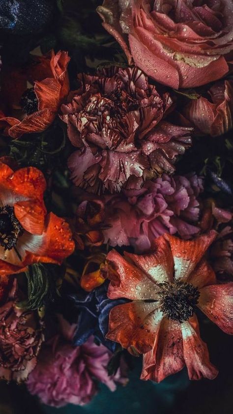 Dark Floral Aesthetic, Gcse Chemistry, Moody Florals, Vintage Flowers Wallpaper, Flowery Wallpaper, Dark Flowers, Funny Phone Wallpaper, Flower Therapy, Phone Wallpaper Images