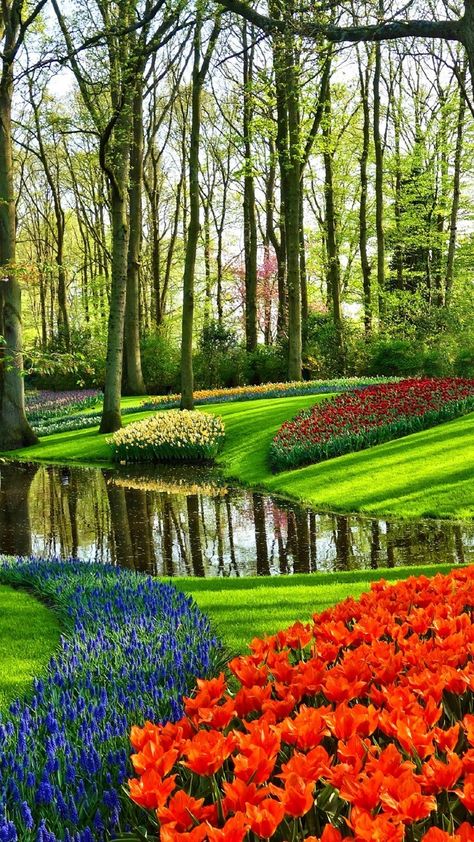 Netherlands Tourist Spots, Netherlands Garden, Netherlands Museum, Keukenhof Gardens Netherlands, Netherlands Keukenhof, Netherlands Nature, Tools Tattoo, Travel Holland, Gardener Aesthetic