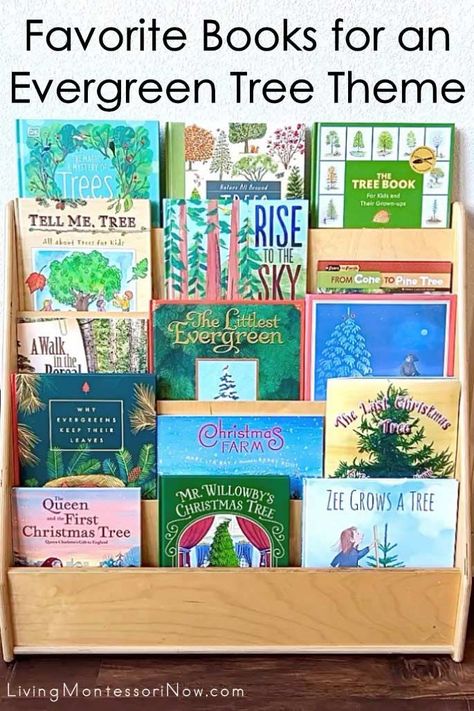 Recommendations of evergreen tree books for preschoolers through elementary-age kids. Nonfiction and fiction books for an evergreen tree unit - Living Montessori Now Tree Unit, Books For Preschoolers, Sand Writing, Tree Theme, Tree Study, Math Operations, Book Baskets, Christmas Farm, Letter Matching