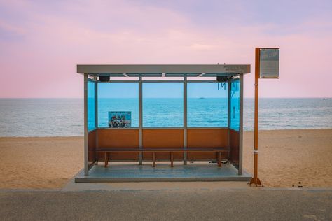 BTS Bus Stop: Guide to Visiting the Jumunjin Beach Bus Stop Nami Island Korea, Autumn In Seoul, Jeon Doyum, Autumn In Korea, Bts Spring Day, Bukchon Hanok Village, Lim Jimin, Visit Seoul, Nami Island