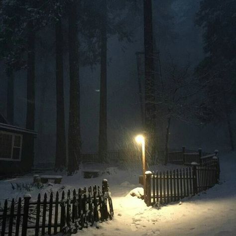 Dark Christmas, Art Ancien, Winter Scenery, Night Aesthetic, Winter Aesthetic, Nature Aesthetic, Christmas Aesthetic, Pretty Places, In The Woods