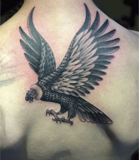 Peruvian Condor Tattoo Condor Tattoo, Condor Andino, Andean Condor, Eagle Tattoos, Bad Tattoos, Ink Sketch, Travel Tattoo, Inspirational Tattoos, Tattoo Drawings