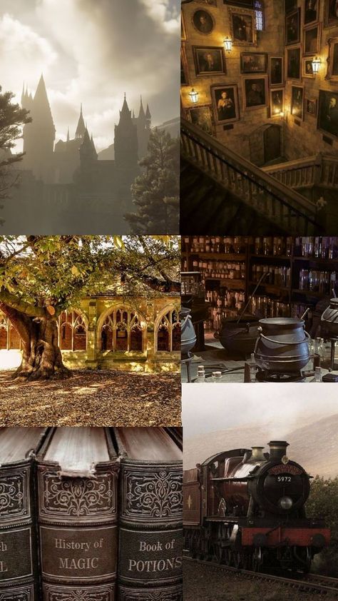 Harry Potter Collage Aesthetic, Hogwarts Collage, Harry Potter Collage, Hogwarts Aesthetic, Harry Potter Wallpaper, Aesthetic Collage, Hogwarts, Harry Potter, Collage