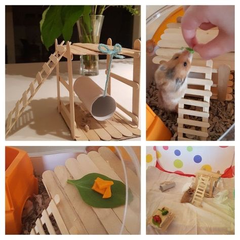 Popsicle Stick Playground, Diy Mouse Toys, Diy Hamster Toys, Gerbil Toys, Rat Cage Accessories, Hamster Diy, Hamster Life, Hamster Habitat, Baby Rats