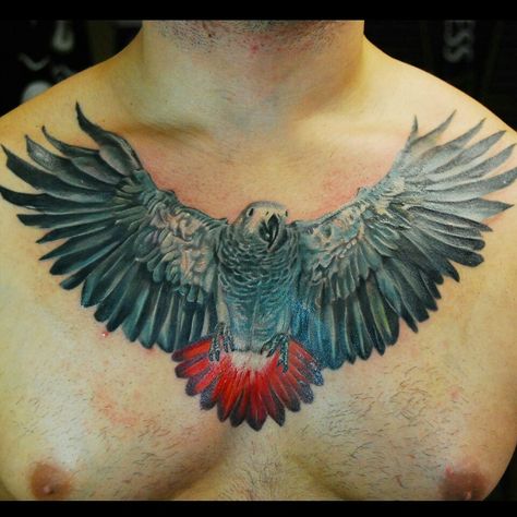 African Grey Parrot tattoo, chest piece African Grey Parrot Tattoo, Grey Parrot Tattoo, Tattoo Chest Piece, Gray Parrot, Parrot Tattoo, Tattoo Chest, Clock Tattoo Design, Parrots Art, Grey Parrot