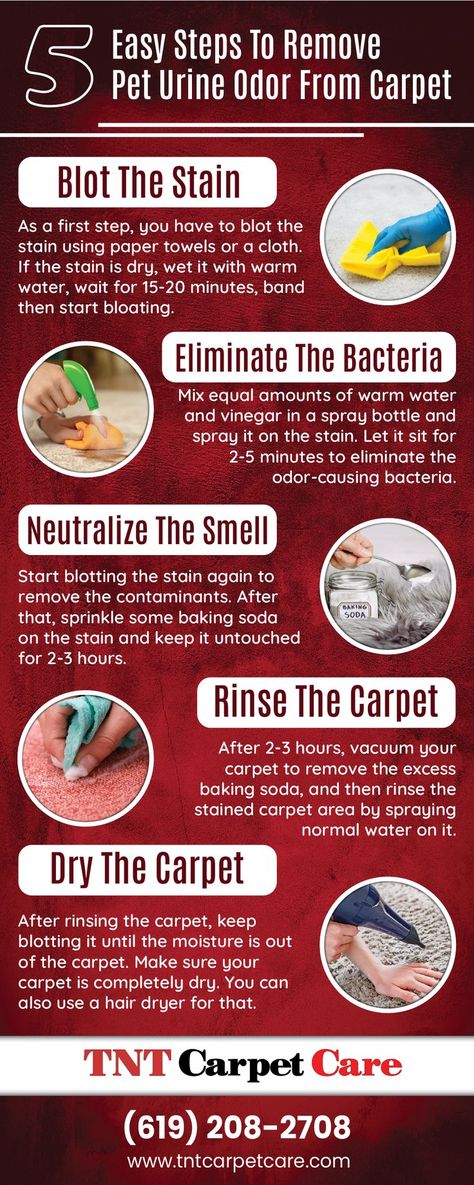 Carpet Cleaning Clean Pet Stains From Carpet, How To Get Cat Urine Out Of Carpet, How To Clean Dog Pee Out Of Rug, Diy Urine Carpet Cleaner, How To Deep Clean Carpet Pet Urine, Removing Dog Urine From Carpet, How To Clean Cat Pee Out Of Carpet, Remove Dog Pee Smell From Carpet, How To Deep Clean Carpet