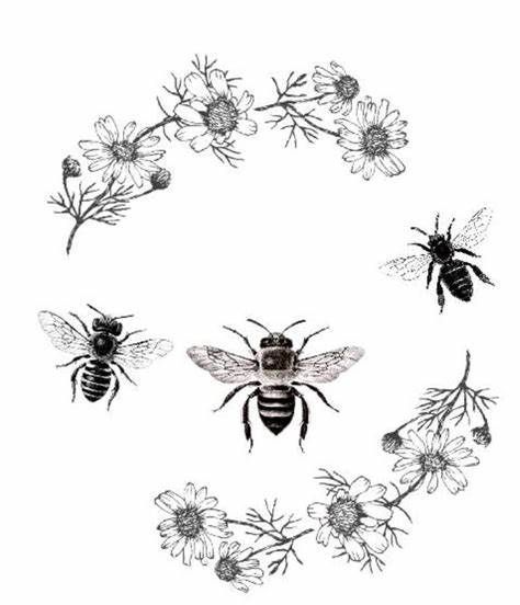 Bee And Daisy Tattoo, Bumblebee Illustration, Daisy Tattoo, Bee Tattoo, Pretty Tattoos, I Tattoo, Flower Tattoo, Daisy, Lavender