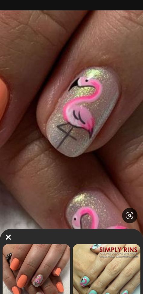 Flamingo Nails, Girls Nails, Flamingo, Nails