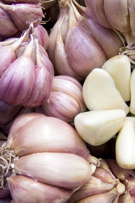 Garlic has been traditionally used in our kitchen to add distinctly strong flavour to food. Not only this, it is also revered for its medicinal properties especially aiding the health of the heart. This miracle ingredient is much more than a flavouring agent, it is also known as an excellent hair care ingredient. Garlic Photo, Universal Food, Garlic Food, Homemade Cough Remedies, Garlic Health Benefits, Dry Cough Remedies, Roast Fish, Receding Hair Styles, Garlic Benefits