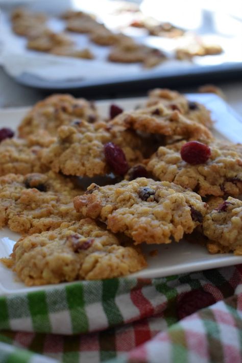 Cranberry Walnut Oatmeal Cookies - Julia's Cuisine Oatmeal Christmas Cookies, Oatmeal Cranberry Cookies Recipe, Cookies Walnut, Cranberry Loaf, Walnut Oatmeal, Cranberry Oatmeal Cookies, Walnut Cookie Recipes, Cranberry Cookies Recipes, Cranberry Oatmeal