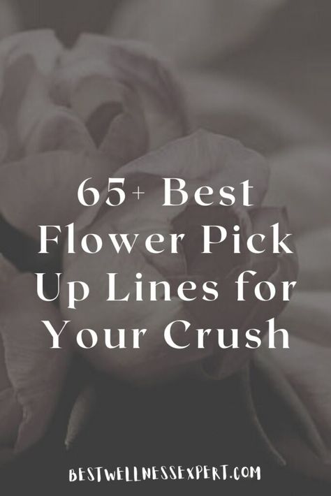 65+ Best Flower Pick Up Lines for Your Crush Plant Pick Up Lines, Flower Pick Up Lines, Flower Pickup Lines, Cute Pickup Lines, Corny Pick Up Lines, For Your Crush, Cheesy Love Quotes, Flirty Lines, Lines For Girls