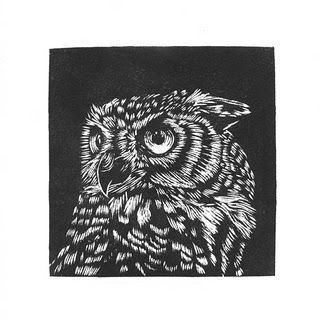 Boreal Owl, Woodcut Art, Linoleum Print, Linocut Printmaking, Scratch Art, Linocut Art, Woodcuts Prints, Nature Drawing, Owl Print