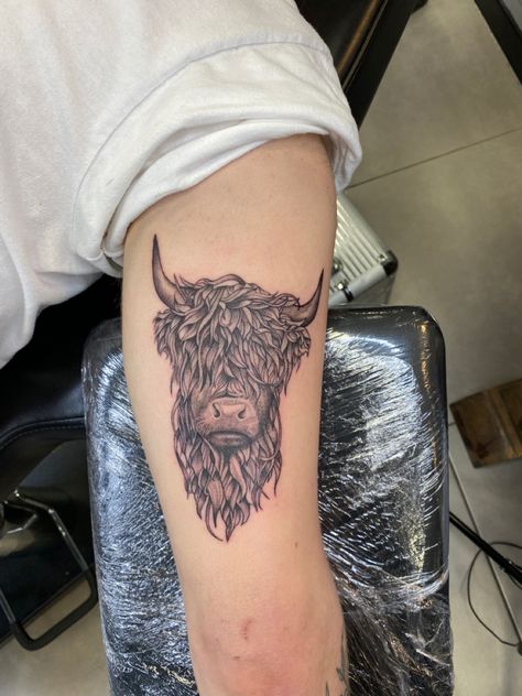 Highland cow #cow #tattoo #tattooideas #tattooart #tattooartist Cow Tattoo Ideas, Highland Cow Tattoo, Cowgirl Tattoos, Cow Tattoo, Lion Tattoo Sleeves, Ancient Tattoo, Single Needle Tattoo, Bull Tattoos, Western Tattoos