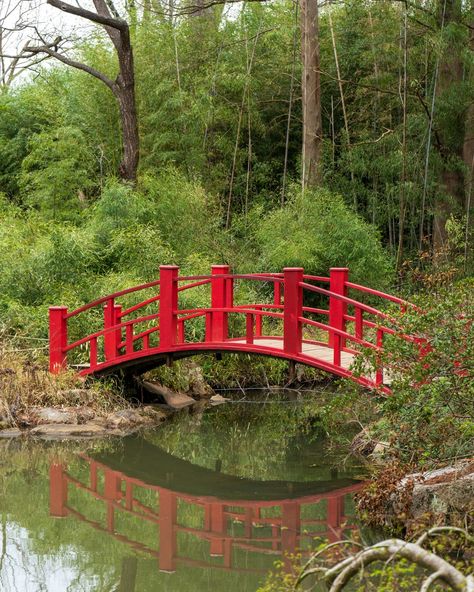 During our road trip to Atlanta for spring break, we were on the lookout for a nice spot to have a picnic lunch in Birmingham. Luckily, I spotted the Birmingham Botanical Garden on the map. After finding out it was free, we decided to make a pit stop there. It's one of those places you stumble upon and instantly feel like you've found a secret oasis. We didn't have the time to see the entire thing, but we explored teh Japanese garden. I am a sucker for a Japanese garden. This was such a pl... Birmingham Botanical Gardens, Picnic Lunch, Picnic Lunches, Travel Oklahoma, A Picnic, Botanical Garden, Japanese Garden, Spring Break, Botanical Gardens