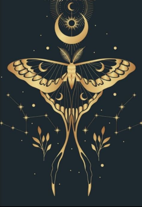 Witchy Moth Drawing, Luna Moth Art Nouveau, Chinese Moon Moth Drawing, Luna Moth Line Art, Witchy Art Ideas, Luna Moth Back Tattoo, Lunar Moth Wallpaper, Lunar Moth Art, Luna Moth Drawing