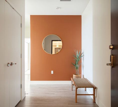 Terra Cotta Paint Color, Orange Accent Walls, Earthy Terracotta, Terracotta Paint, Ghost Ranch, Color Terracota, Living Room Wall Color, Accent Wall Colors, Accent Wall Paint