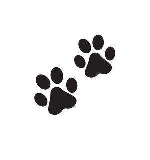 Dog Footprint Stock Vector Images - Alamy Paw Print Drawing, Cat Paw Drawing, Dog Paw Drawing, Dog Footprint, Paw Drawing, Pawprint Tattoo, Dog Paw Tattoo, Paw Tattoo, Pet Paws