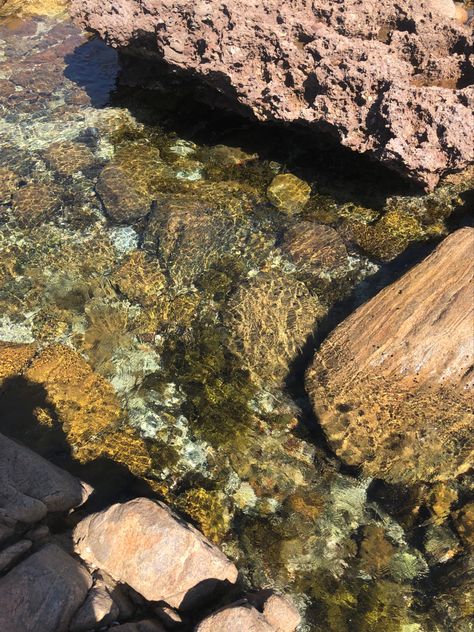 australian rock pools Rock Pools Beach, Self Care Bullet Journal, Rock Pools, Geology, Close Up, Tourism, Bullet Journal, Australia, Pool