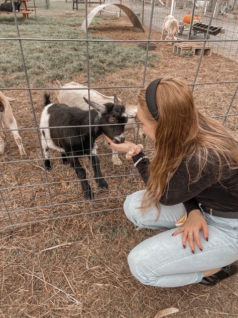 #pumpkinpatch #animalfarm #animal #animallovers #animalsnature #animalrights #babygoat #goat #babyanimal #pygmygoat #farm #farmaesthetic #pinterest #pinterestmarketing #pinteresttips #pinterestinspired #pinterestfashion #pinterestgirl Petting Zoo Photoshoot, Petting Zoo Farm Aesthetic, Goat Photoshoot, Small Goat Farm, Farm Life Aesthetic, Goat Pet, Zoo Pictures, Cute Goat, Zoo Photos