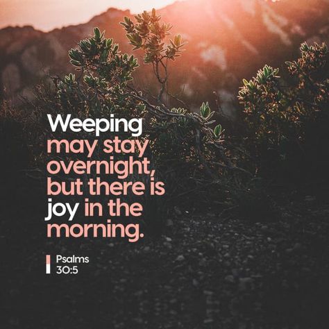 Strength In The Lord, Joy Comes In The Morning, Joy In The Morning, What Is True Love, Psalm 4, Psalm 30, Youversion Bible, Amplified Bible, Daily Bible Verse