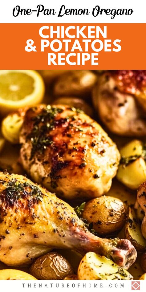 Discover the perfect addition to your healthy food recipes collection with this lemon oregano chicken and potatoes dish. It's a flavorful and satisfying meal that's simple to prepare. The infusion of lemon and oregano adds a refreshing twist to classic roasted chicken and potatoes. Pin this recipe to enjoy a healthy and delicious dinner option that's sure to please. Lemon Oregano Chicken, Oregano Chicken, Roasted Chicken Legs, Nutritious Meal Ideas, Roasted Chicken And Potatoes, Chicken And Potatoes, Easy Healthy Eating, Chicken Potatoes, Chicken Legs