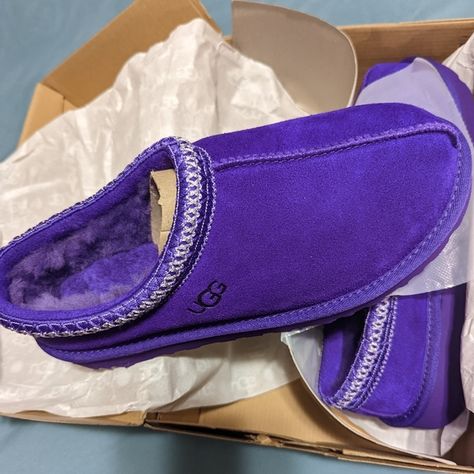 Size 9 purple uggs Ugg Slippers Purple, Purple Tasman Uggs, Purple Ugg Slippers, Purple Uggs, Cute Uggs, Fun Slippers, Crocs Fashion, Pretty Sneakers, White Nike Shoes