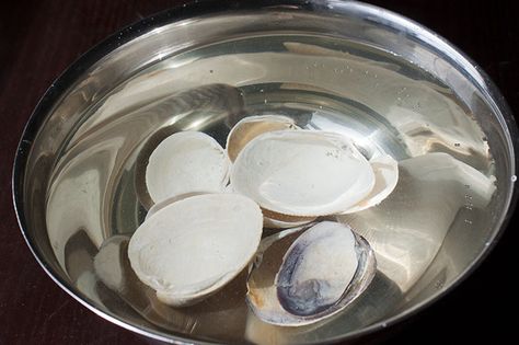 How to Clean Seashells Cleaning Seashells, How To Clean Seashells, Clean Seashells, Cleaning Sea Shells, Collecting Seashells, Carbonated Soft Drinks, Nautical Crafts, Memory Crafts, Crafting Jewelry