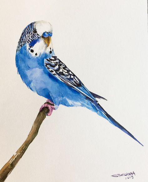 Budgie Watercolor, Parakeet Watercolor, Parakeet Painting, Budgie Painting, Parrot Portrait, Budgie Art, Parakeet Art, Birds Drawing, Royal Pet Portrait