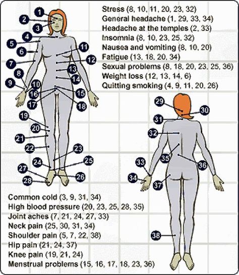 Learn techniques to naturally enhance libido in both men and women. Acupressure, or the application of simple pressure to certain spots on the body, can allow energy to flow freely, enhancing desire. Acupressure Points Chart, Acupuncture Points Chart, Cupping Massage, Acupressure Therapy, Hand Reflexology, Reflexology Chart, Trigger Point Therapy, Reflexology Massage, Cupping Therapy