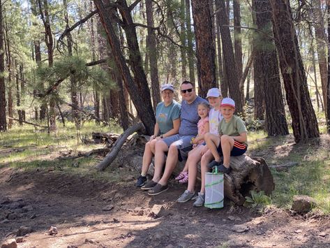 Pinetop Lakeside Az, Phoenix With Kids, Resort Cabins, Park Playground, Spring Resort, Lake Park, Fun Family Activities, Nature Center, Walking Trails