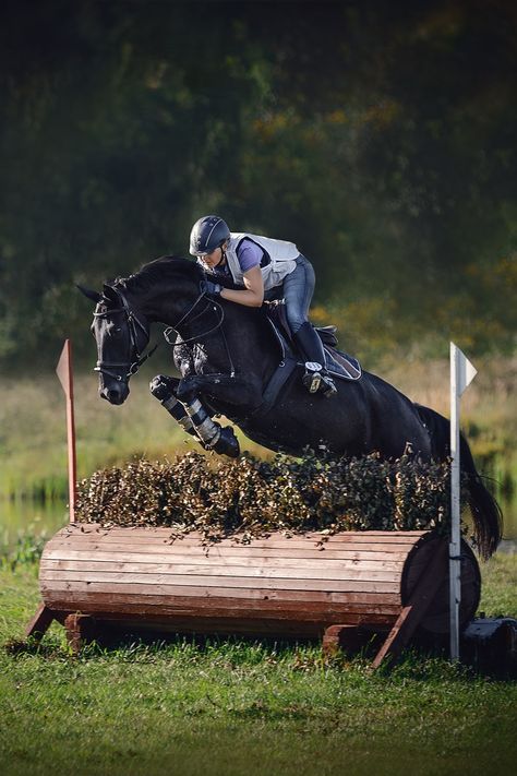 While Tamie Smith rides and competes on many types of horses, Thoroughbreds are one of her favorite breeds 🐴 In our latest edition of “Next Level,” Tamie explains why Thoroughbred blood can be important in an event horse. Read here 👇️ #horseillustrated #tamiesmith #nextleveleventing #eventing #thoroughbred #ottb #retiredracehorse #threedayeventing Thourghbreds Horses, Throughbred Horses, Horse Thoroughbred, Farmhouse Life, Horse Breeding, Horse Magazine, Horse Pics, Fierce Animals, Thoroughbred Horse Racing