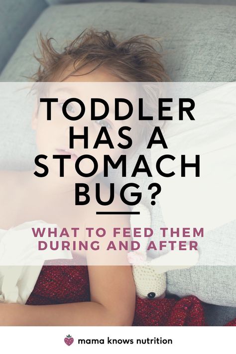 What To Feed Your Toddler During & After A Stomach Bug Easy On Tummy Recipes, Stomach Settling Foods, Gi Bug Remedies, Stomach Bug Smoothie, Best Food To Eat After Stomach Bug, Natural Remedies Stomach Bug, Herbs For Stomach Bug, Peach Syrup For Stomach Bug, Toddler Stomach Ache Remedies