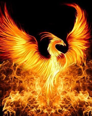 Fire Bird, A Fire, Phoenix