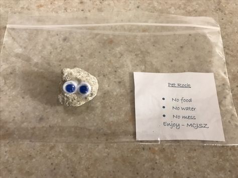 Homemade geo swag pet rock #geocaching #geoswag Geocaching Ideas Swag Diy, Geocaching Swaps, Geocaching Ideas Swag, Pet Rock Ideas, Geocaching Swag, Geocache Swag, Homemade Gag Gifts, Geocaching Containers, Pet Rock