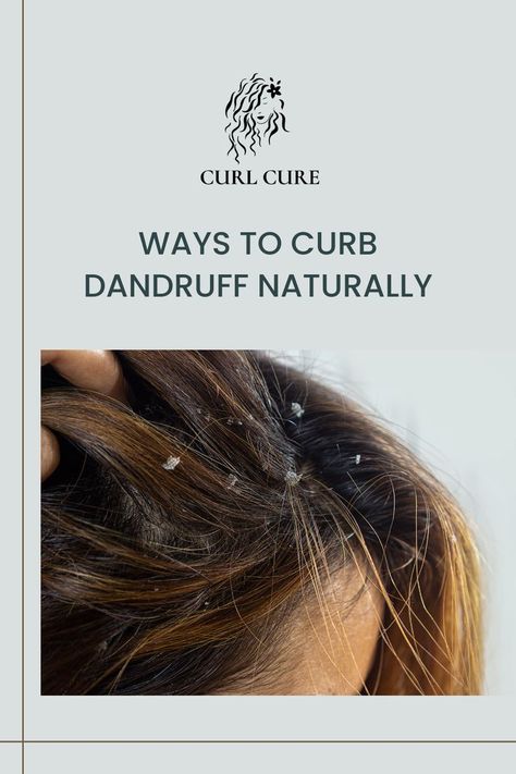 I am sure there is nobody with hair who has not faced dandruff occasionally. So today we are discussing some natural DIYs and some products you can use to reduce dandruff while doing your haircare! Dry scalp is a way of life for us naturally curly girls. Thankfully, our curls are very good at hiding these flakes, but there are far better ways to treat dry scalp for curly hair than simply putting it up in a bun, trying not to scratch, and hoping for the best. Treat Dry Scalp, Reduce Dandruff, Hoping For The Best, Dry Scalp, Hair Scalp, A Way Of Life, Curly Girl, Dandruff, Way Of Life