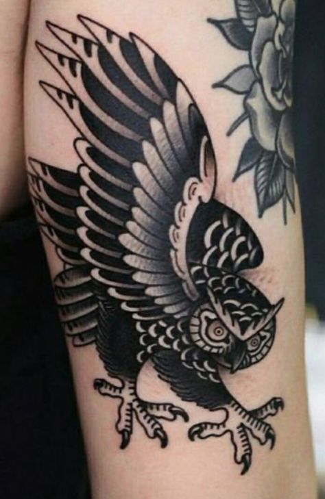 Owl Tattoo Traditional Black, Black And Gray American Traditional Tattoos, American Traditional Tattoos Bird, Morepork Tattoo, Traditional Style Cat Tattoo, Tradition Tattoo Sleeve, Trad Owl Tattoo, American Traditional Crow, Animal Tattoo Traditional